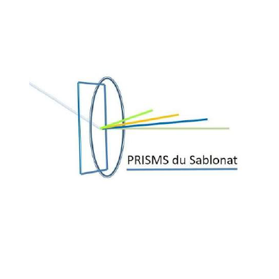 Plan de travail 5@2x Logo PRISMS du Sablonat